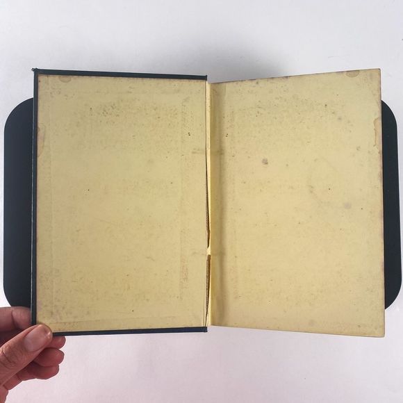 1895 Handbook of British Flora by George Bentham - Picture 4 of 13